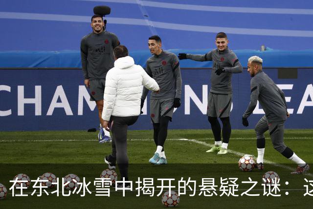 在东北冰雪中揭开的悬疑之谜：这部剧为何惊艳全场？
